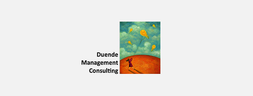 Logo Duende Management Consulting
